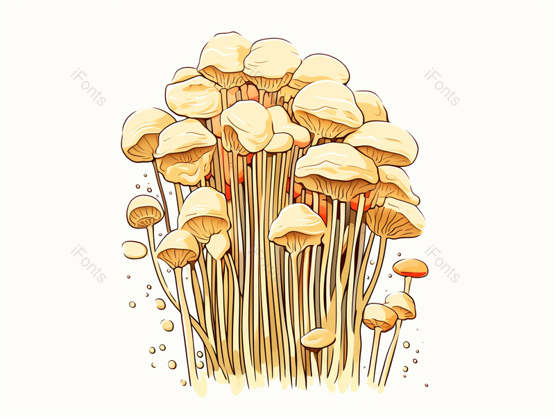 金针菇,插画/手绘图,插画/手绘图库,插画/手绘图下载,插画/手绘